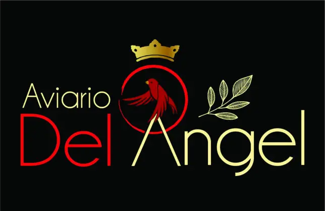 Aviario Del Ángel