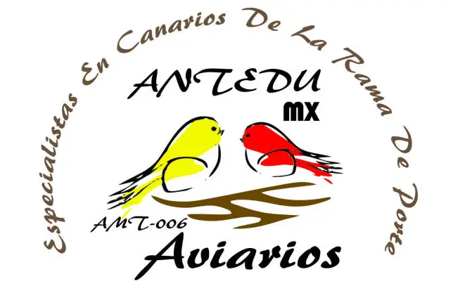 Aviarios ANTEDU Mx AOMT