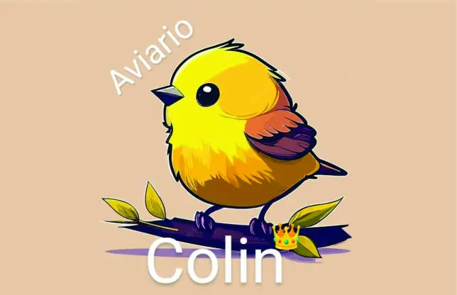 Aviario Colin AOMT