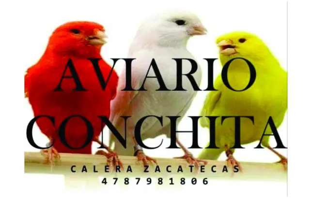 Aviario Conchita AOMT